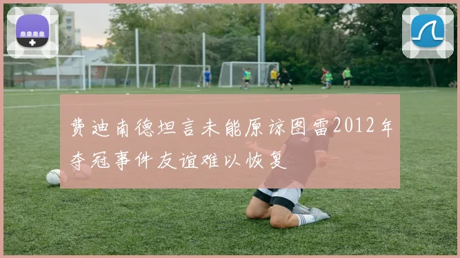 费迪南德坦言未能原谅图雷2012年夺冠事件友谊难以恢复