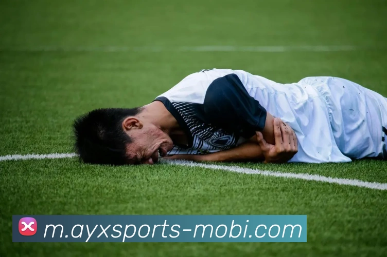 多媒体互动体验