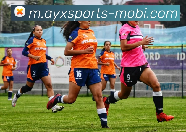 爱游戏APP 体育赛事宣传图